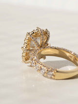 Diamonds line the cage carrying the top.