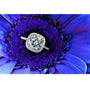 Kobelli Cushion Forever One 8.5mm Moissanite Halo Ring 14k White Gold (3 CTW)