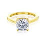 Kobelli London Collection Cara 2ct Cushion Moissanite Cathedral Engagement Ring
