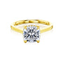Carrie 2ct Cushion-cut Diamond Hidden Halo Cathedral Engagement Ring