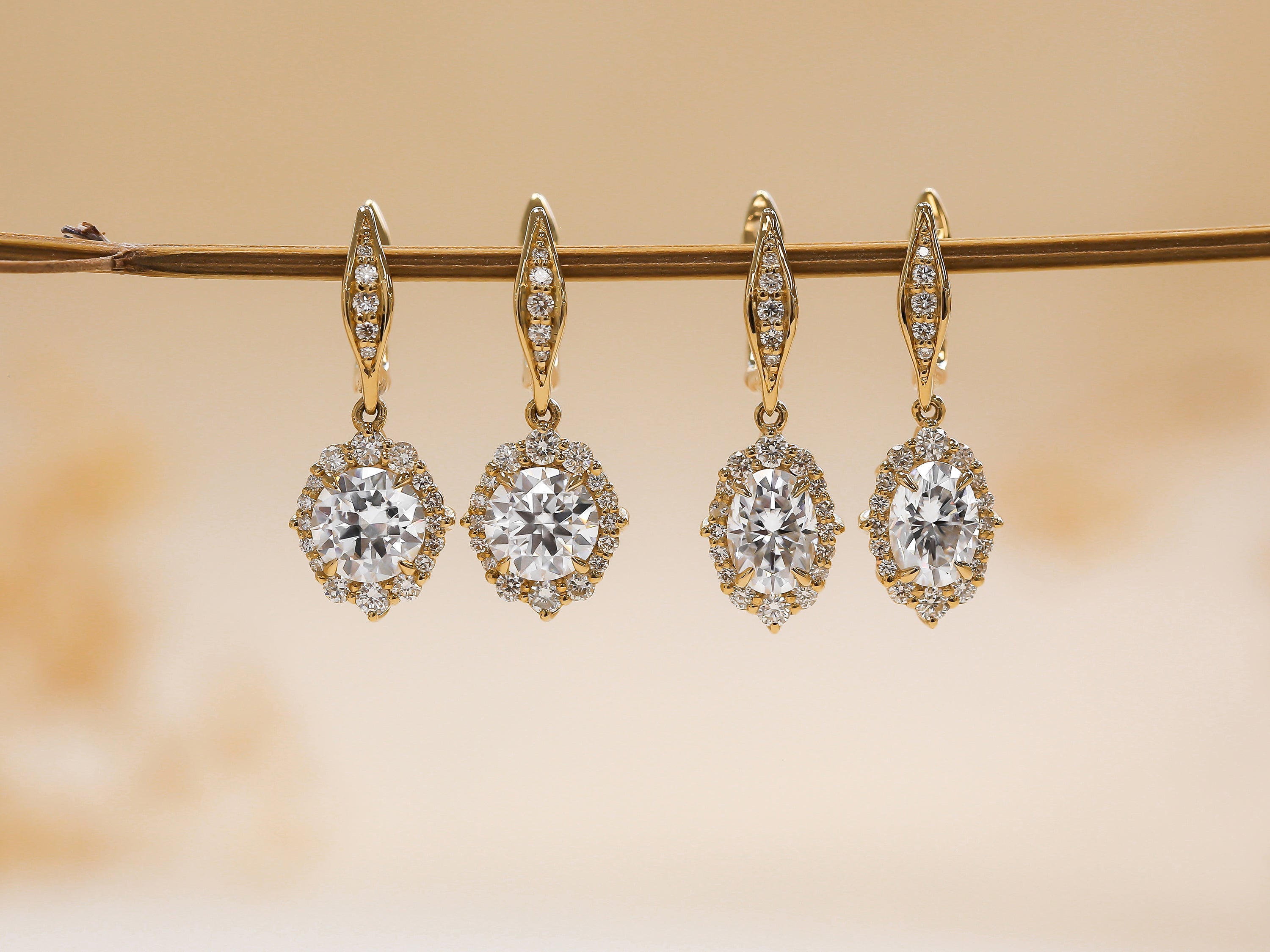 August | Rococo Halos