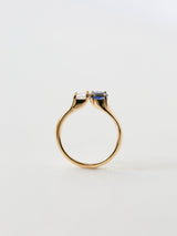 Kobelli-Ring aus massivem Gold mit Saphir und Diamant