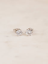 Chelsea LG Diamond 6-Prong Studs