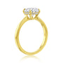 Profile angle showcasing hidden halo design - yellow gold option