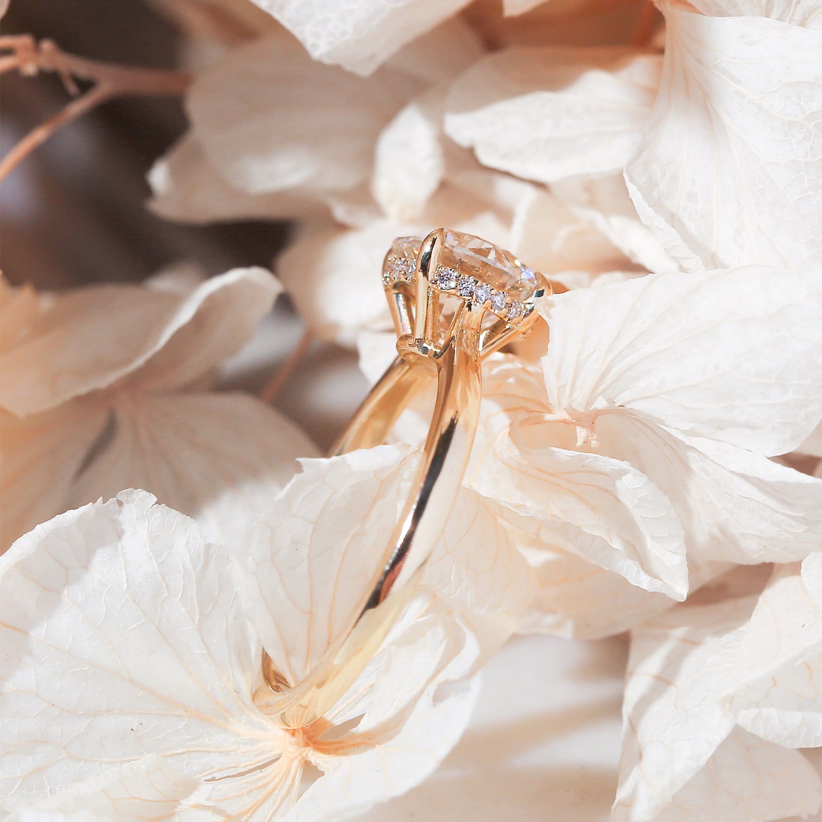 2 Carat Lab Grown Diamond Hidden Halo Melinda-Raye Ring