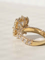 Diamonds line the cage carrying the top.