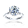 3 Carat Round Brlliant-cut Hidden Halo Plain Comfort Band Rosemarie Ring in White Gold