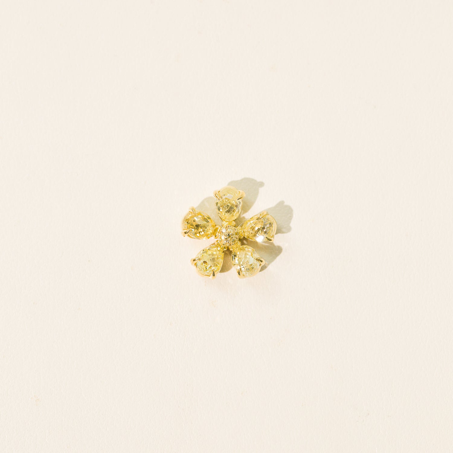 Fancy Yellow Forget-Me-Not