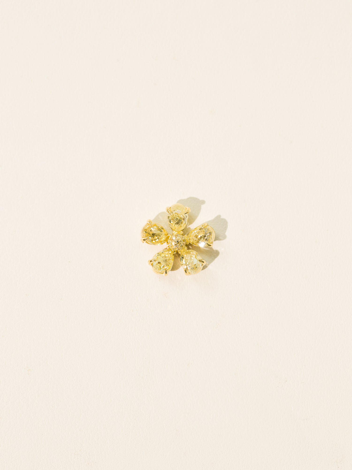 Fancy Yellow Forget-Me-Not