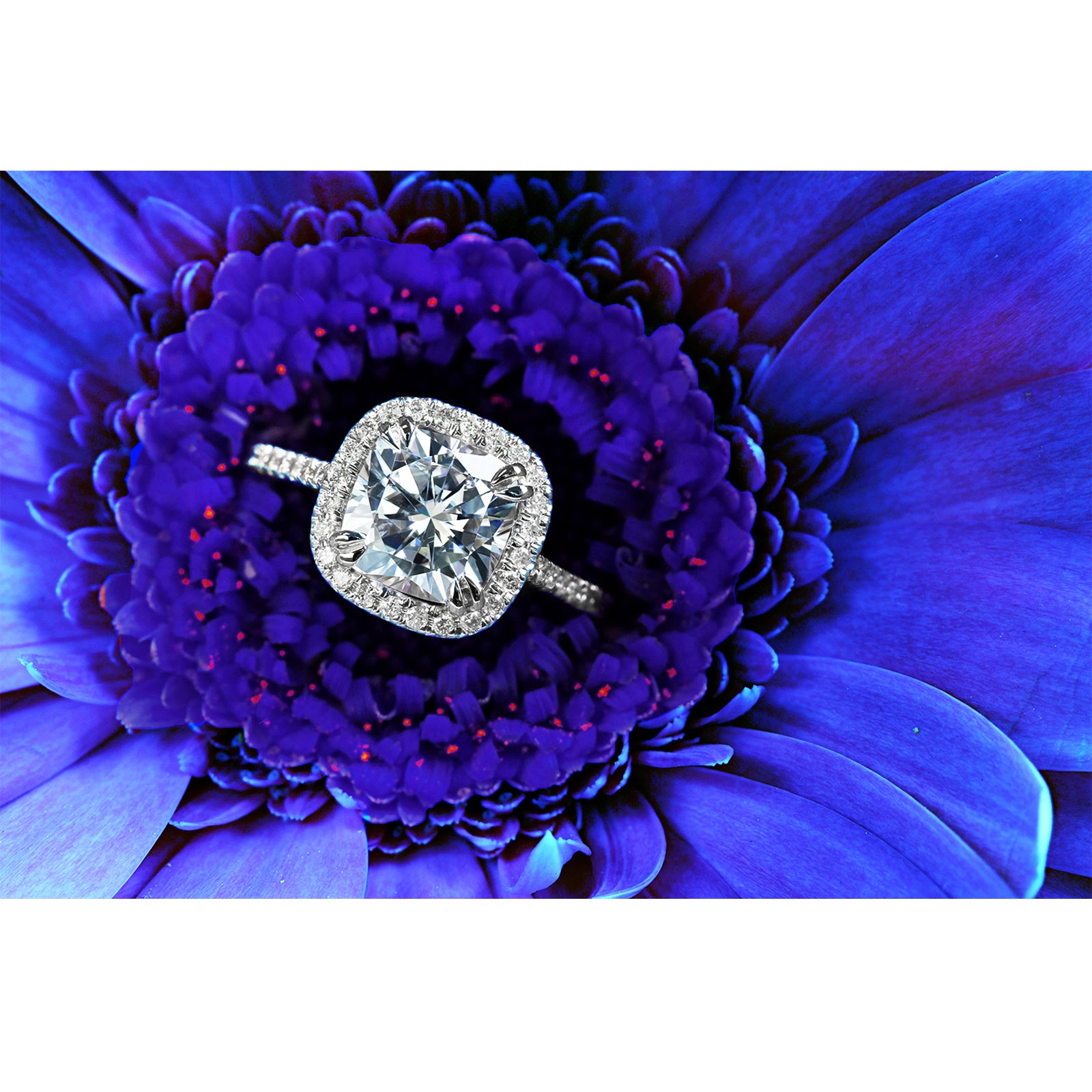 3.25 Carat Moissanite Cushion Original  Bridal Set