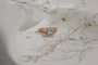 Kobelli Moissanite Wedding Ring Set