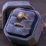Kobelli Royal Scallop Collection