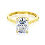 Kobelli London Collection Rae 2.7ct Radiant Moissanite Cathedral Engagement Ring 