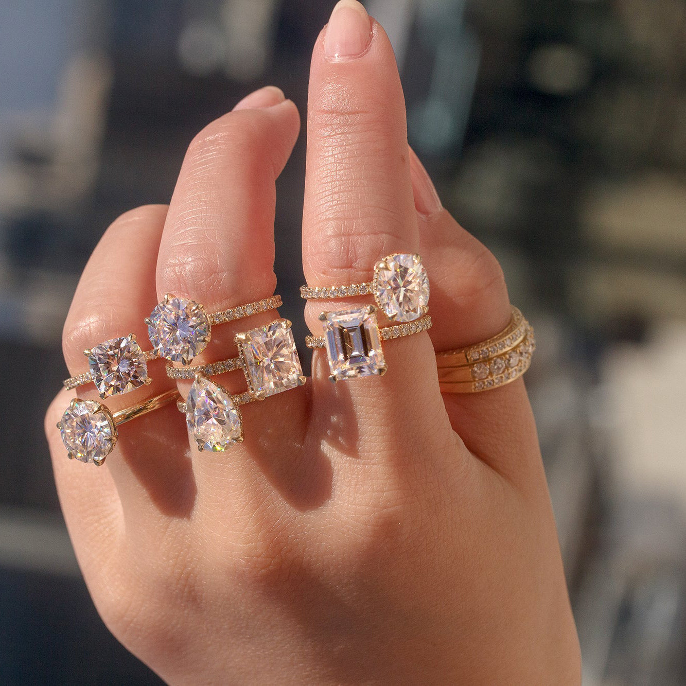 Signature Collection